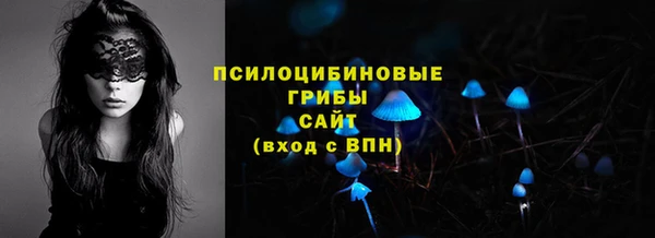 мдпв Белокуриха