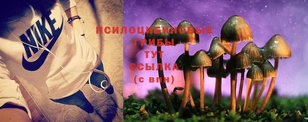 винт Белоозёрский