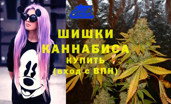 мдпв Белокуриха